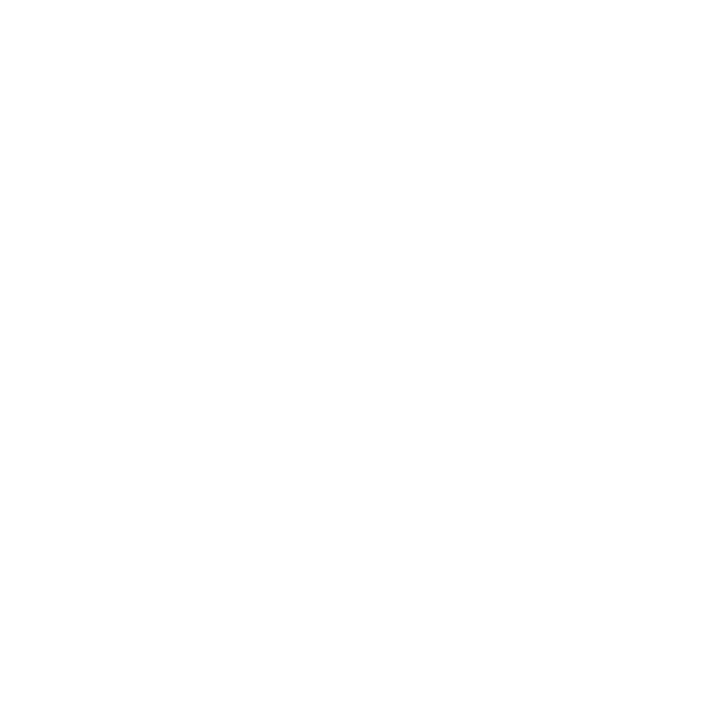Air Force insignia